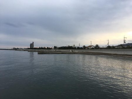 早朝メバリング